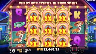 INSANE WIN - zyylol - twitch gambling archive