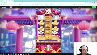 coelho se eu fosse como tu - kkubitzaa - twitch online slot victory