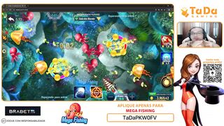 win - paradysee1 - online slot stream big win