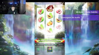 dodo fofinho - dona - twitch slots full stream